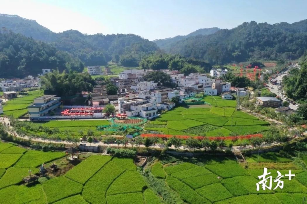 社播村 社播村