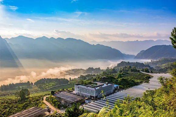 金塘寨村 金塘寨村