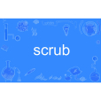 scrub