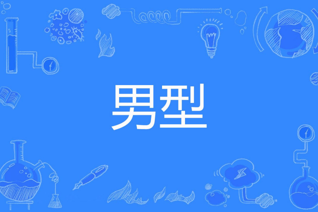 男型 男型