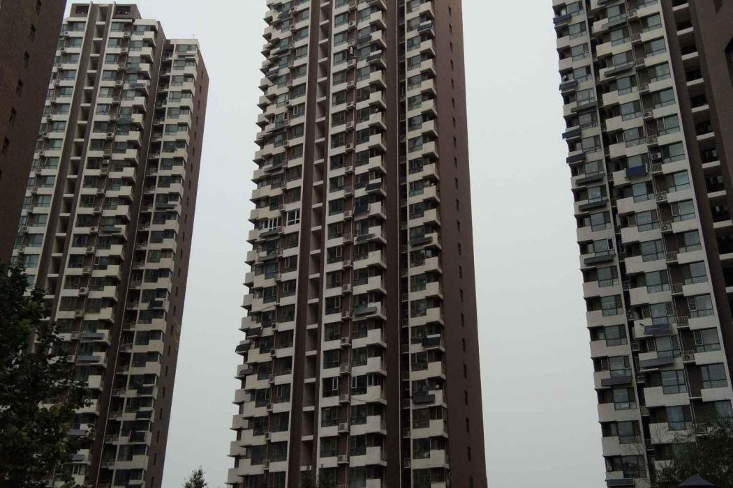 中央峰景 中央峰景