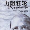 力阻狂輪 力阻狂輪