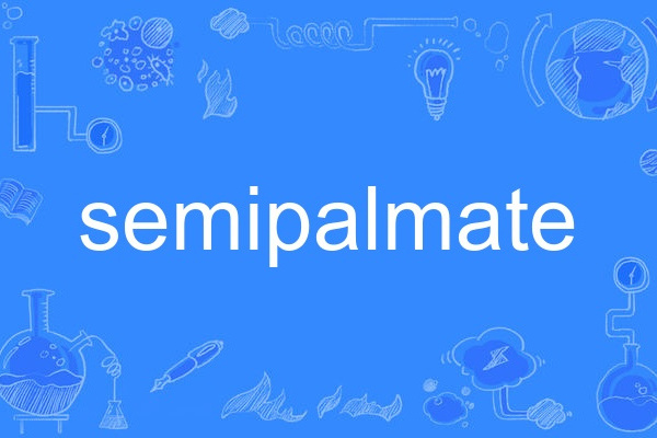 semipalmate semipalmate