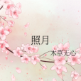 照月 照月