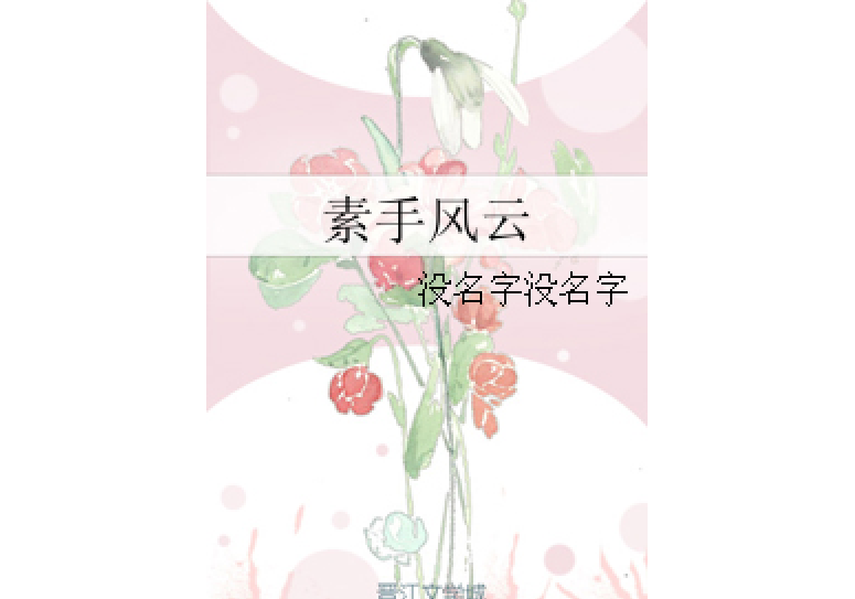 素手風雲 素手風雲