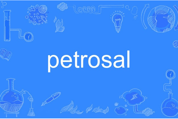 petrosal petrosal
