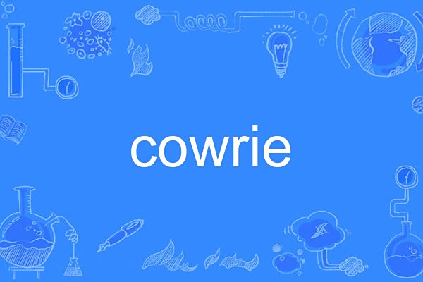 cowrie cowrie