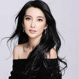 李冰冰(中國內地影視女演員) 李冰冰(中國內地影視女演員)