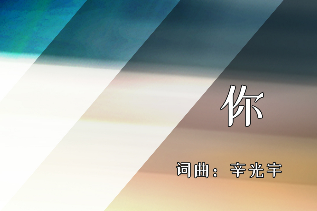你(辛光宇演唱的歌曲) 你(辛光宇演唱的歌曲)