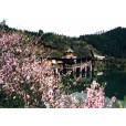 桃花源(湖南省常德市桃源縣的國家5A級旅遊景區)