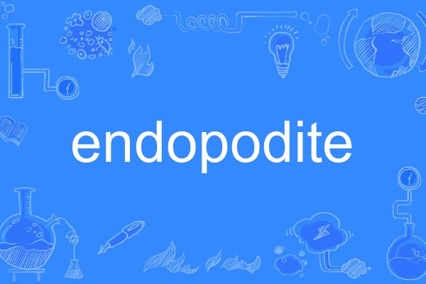 endopodite endopodite
