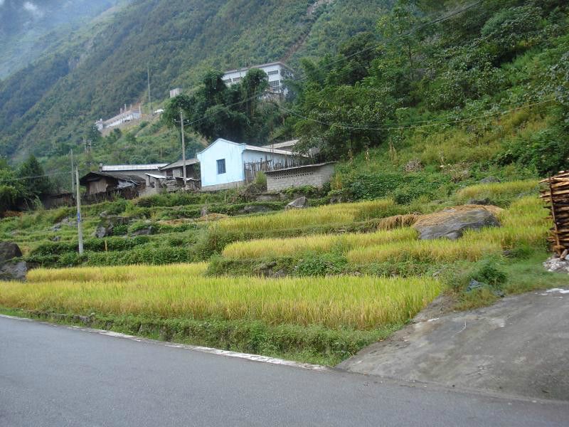 碧羅村 碧羅村