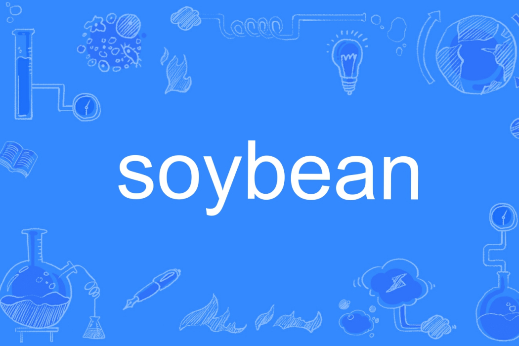 soybean