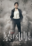 暴風眼(2019年楊冪、張彬彬主演電視劇)