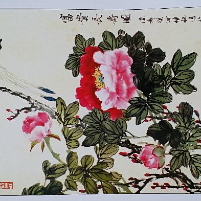 關維霖 關維霖