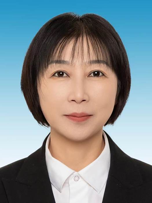 趙哲(遼寧省錦州市發展和改革委員會黨組成員、四級調研員)