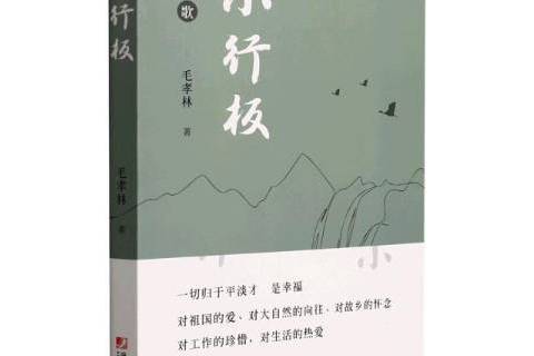 小行板(2021年中國市場出版社出版的圖書) 小行板(2021年中國市場出版社出版的圖書)