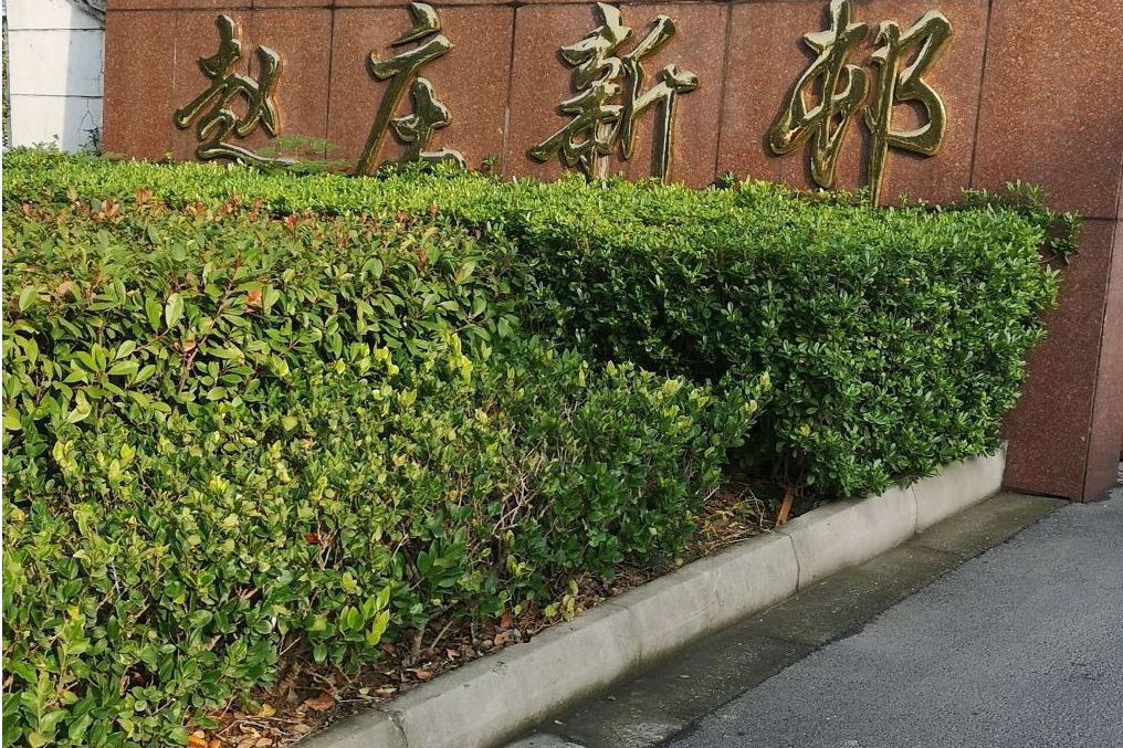 趙莊新邨
