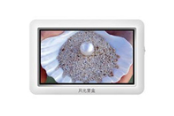 愛國者PM5985(4GB) 愛國者PM5985(4GB)