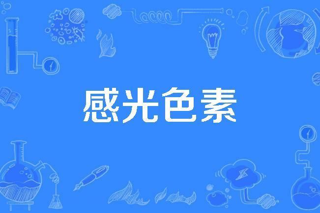 感光色素 感光色素