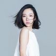 洪辰 洪辰