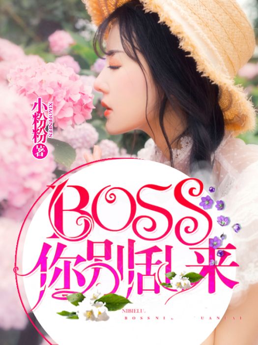 BOSS你別亂來 BOSS你別亂來