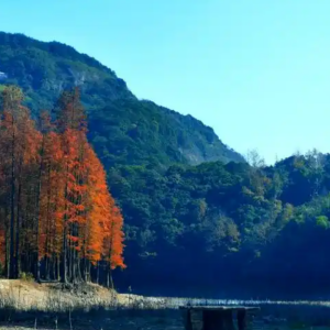 賣柴岙水庫 賣柴岙水庫
