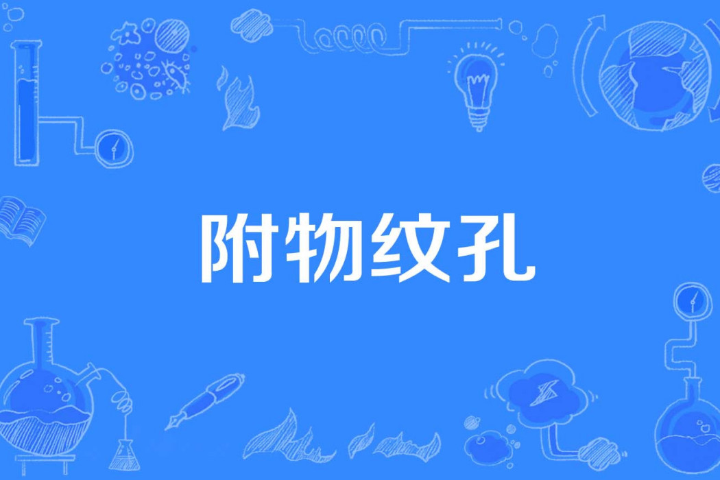 附物紋孔 附物紋孔