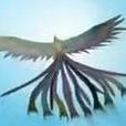 桐竹鳳麟 桐竹鳳麟