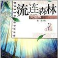 流連森林 流連森林