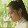 閃電(張衛健版電視劇《少年張三豐》劇中人物) 閃電(張衛健版電視劇《少年張三豐》劇中人物)