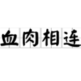 血肉相連 血肉相連