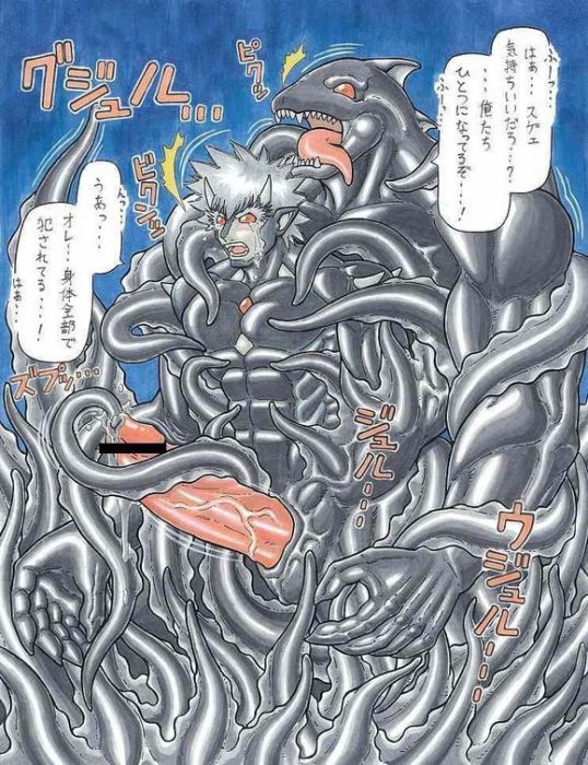 同化系統 同化系統