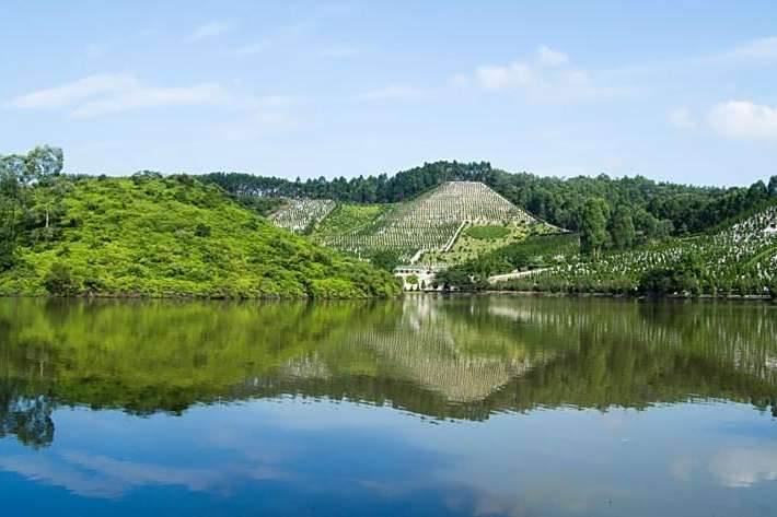 臥龍寺公墓 臥龍寺公墓