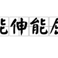 能伸能屈