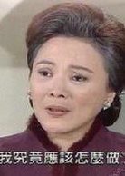意難忘(2004年王為執導長篇電視劇)