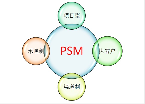 PSM(軟體模型)