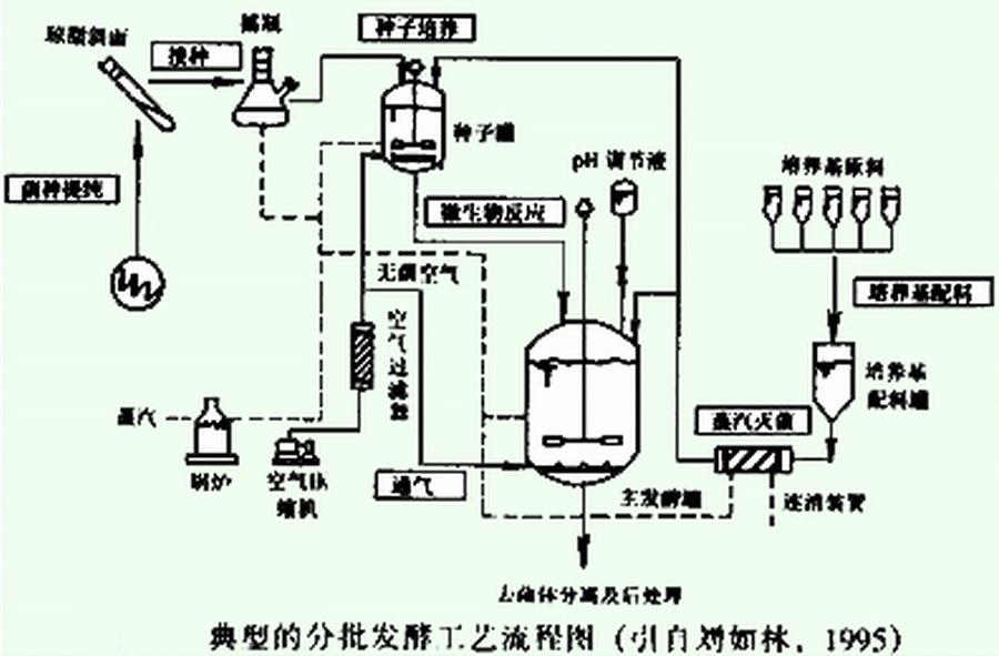 流加發酵工藝流程圖