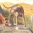 獵鹿犬 獵鹿犬