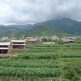 龍山澗村 龍山澗村