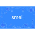 smell(英語單詞) smell(英語單詞)