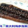 義大利海參 義大利海參
