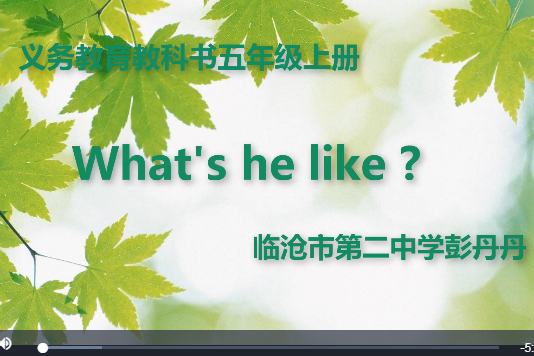 what s he like what s he like
