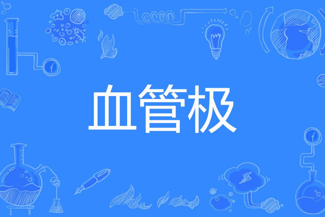 血管極 血管極
