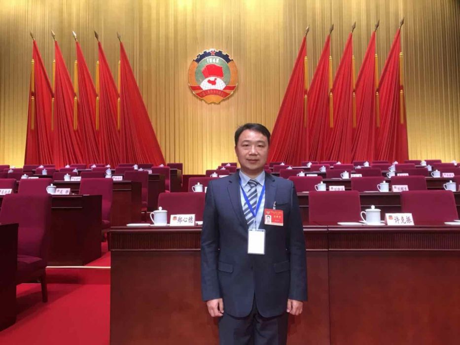 陳光軍(湖北玖譽控股集團有限公司董事長) 陳光軍(湖北玖譽控股集團有限公司董事長)