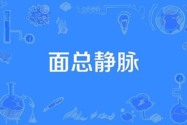 面總靜脈 面總靜脈