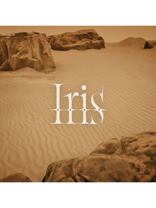 Iris(BUDDiiS演唱的歌曲)