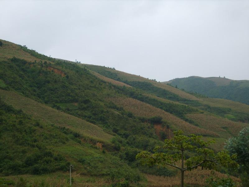 笑岩腳村 笑岩腳村
