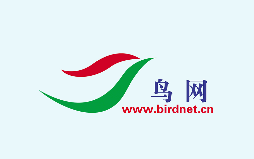 鳥網旗幟-Logo