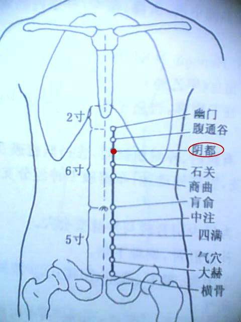 陰都穴 陰都穴